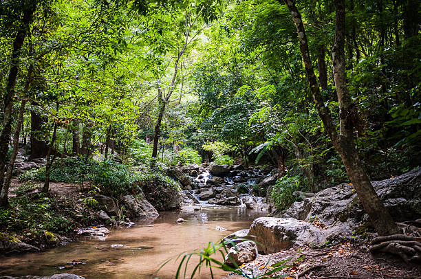 istock lan sang waterfall, natural park in thailand 522149685