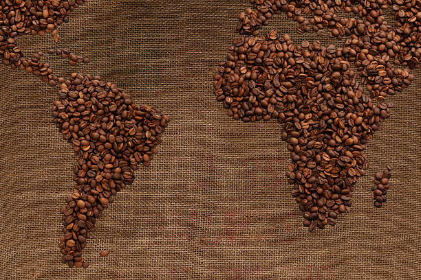 istock Coffee South America and African /with clipping path 522150769