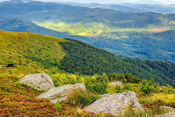 istock boulders on the mountain meadow 522150872