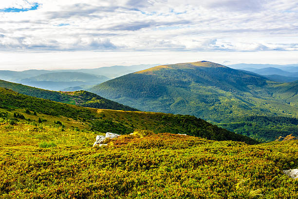 istock boulders on the mountain meadow 522150896