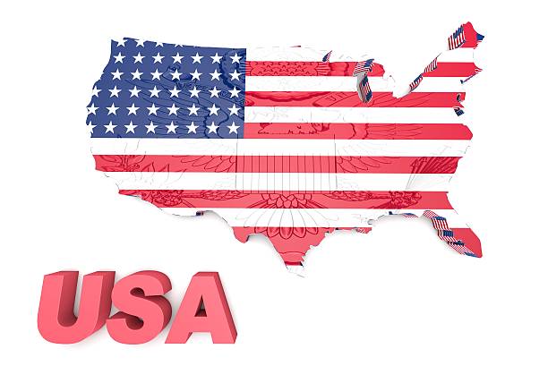 U.S.A. mapped flag in 3D illustration .