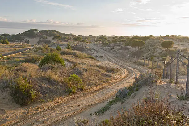 Donana National Park located in Andalusia. Area of marsh, shallow streams, and sand dunes in Las Marismas, the Guadalquivir River Delta region