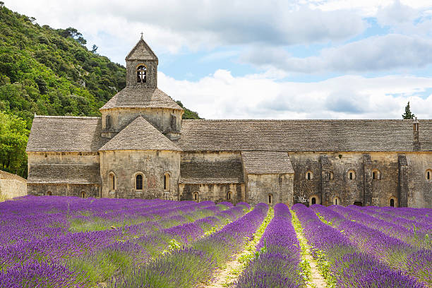 istock Abbey of Senanque and blooming rows lavender flowers 522153033