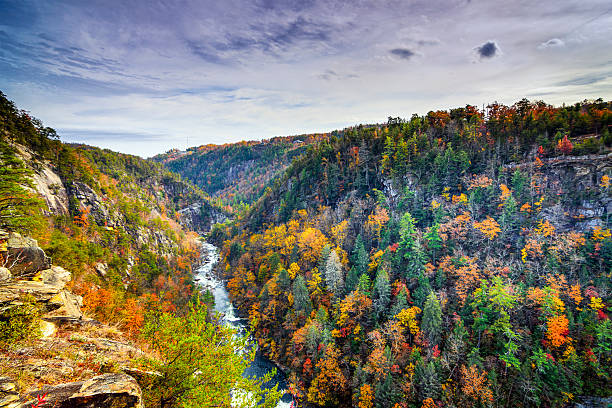 tallulah gorge na geórgia - blue ridge mountains imagens e fotografias de stock