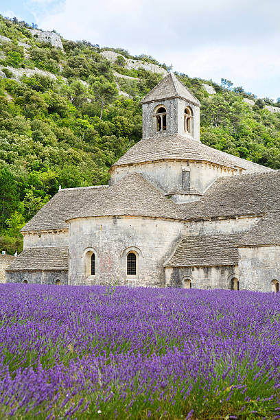istock Abbey of Senanque and blooming rows lavender flowers 522154813