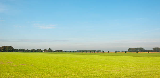 istock Colorful sunny landscape in the Netherlands 522168679