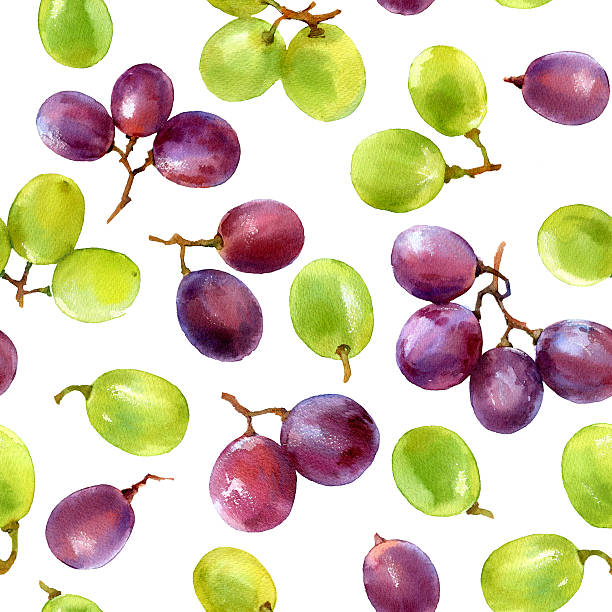 wzór z winogron - red grape illustrations stock illustrations