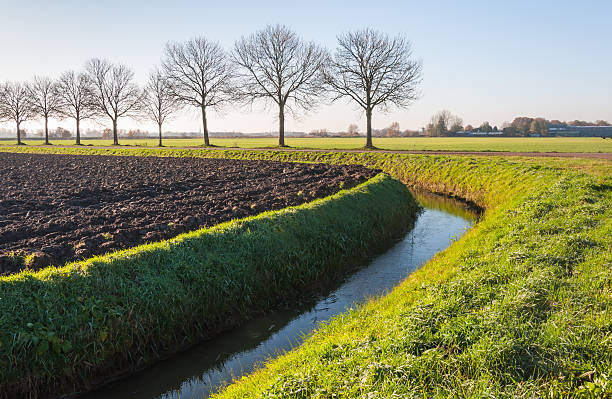 пахотная земля в осенни�й - polder autumn dirt field стоковые фото и изображения