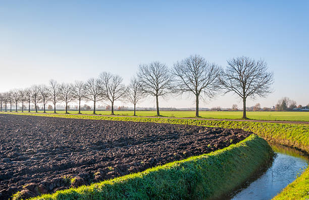 голландский landcape в осенний - polder autumn dirt field стоковые фото и изображения