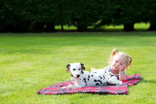 Dalmatian puppy lying on a blanket on a lawn with a little girl