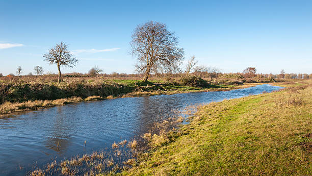 istock Bare trees along the banks of a small stream 522171225