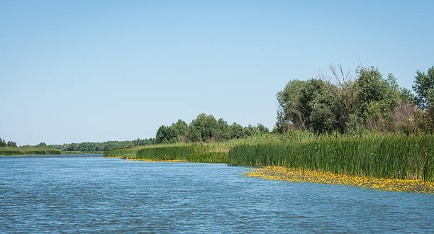 istock Landscape of central Russia, Volga delta 522182403