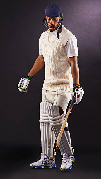 istock Settling in at the crease 522183081