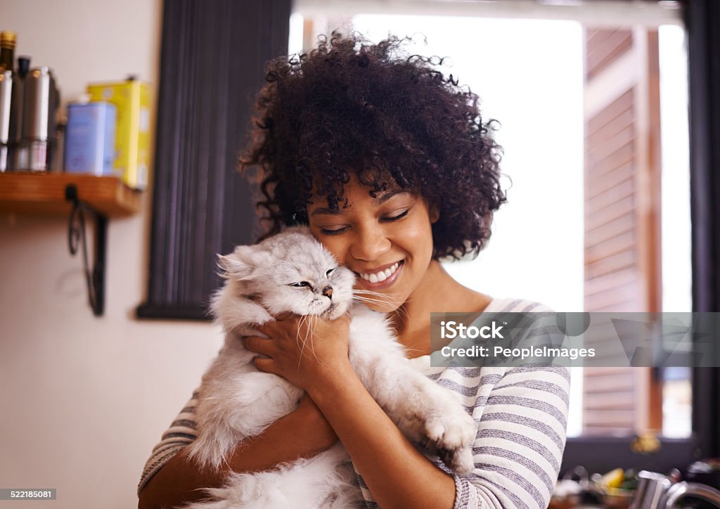 Aren't you so cute! Shot of a beautiful young woman enjoying a cuddle with her cathttp://195.154.178.81/DATA/i_collage/pi/shoots/784178.jpg Domestic Cat Stock Photo