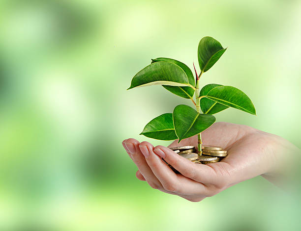 investitionen in green business - ecosavy stock-fotos und bilder