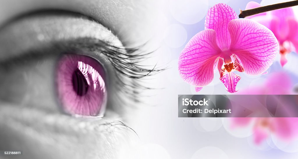 Close up of a pink eye and orchid flower Abstract Stock Photo