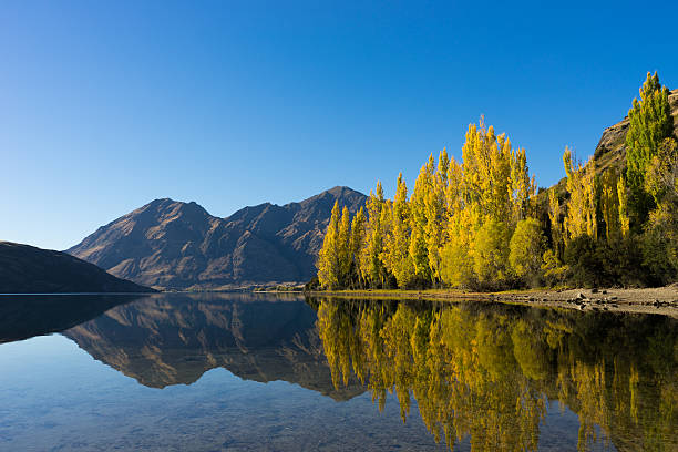 istock Picturesque landscape 522189389