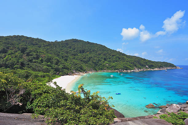 istock The thick green forest on  blue lagoon 522199615