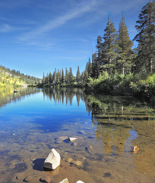 istock In the water reflects coniferous forests 522199639