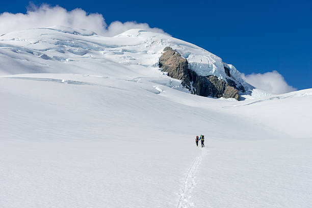 istock New Zealand 522202489
