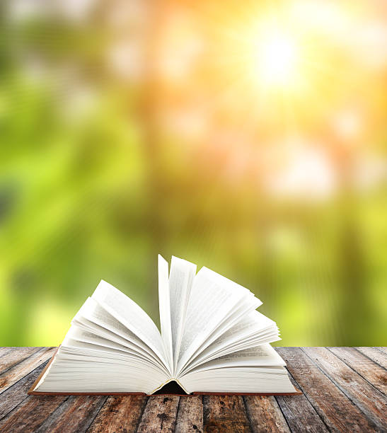 istock Book on wooden planks 522203381