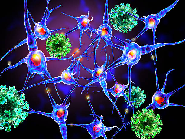 istock 3d illustration of viruses attacking nerve cells 522205473