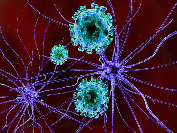 istock 3d illustration of viruses attacking nerve cells 522205477