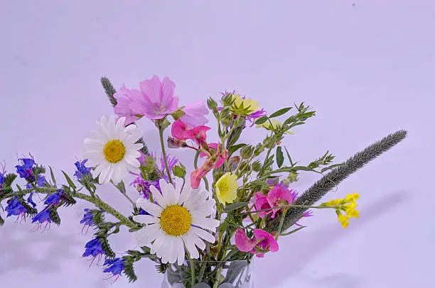 colorful bouquet with meadow flowers