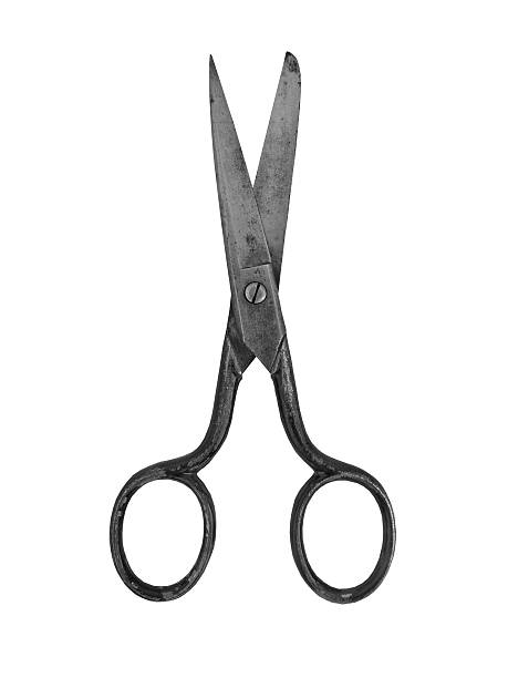 istock vintage craft household scissors 522218515
