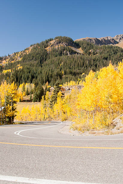 istock Aspen color at bend in the road 522219967