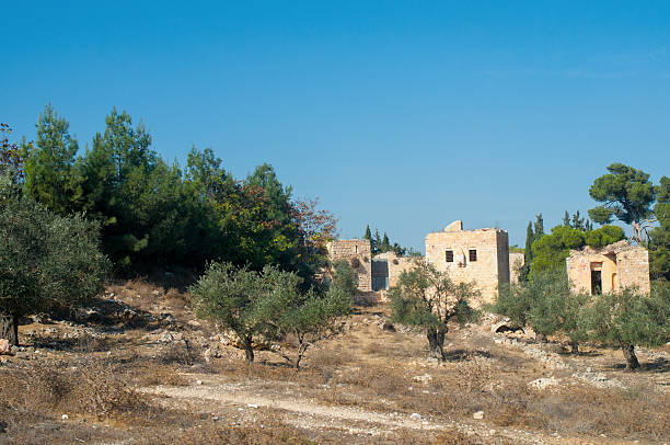 istock biblical olive trees and house, Palestine, Israel 522220199