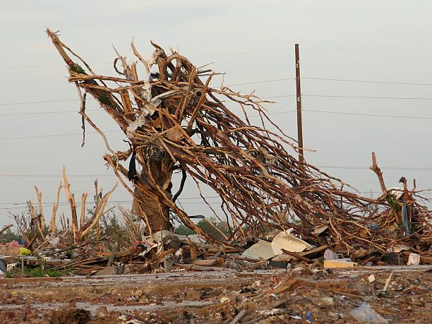 перекрученные дерево - environmental damage tornado oklahoma storm стоковые фото и изображения