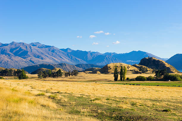 istock Picturesque landscape 522221409