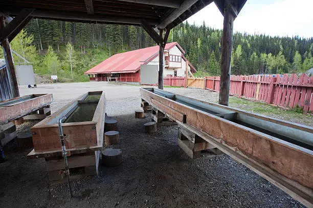 Gold panning set up at the historical Barkerville,BC for tourists.