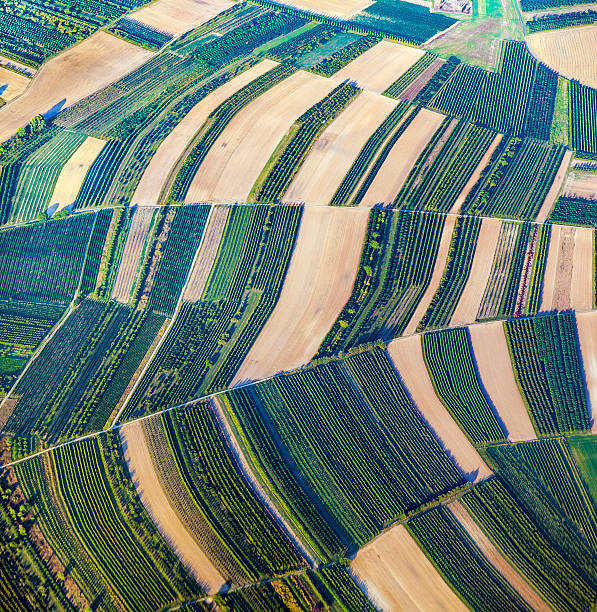 istock aerial view of green fields and slopes 522223467