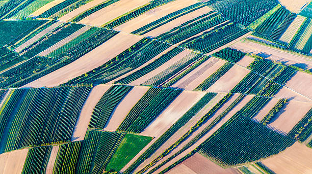 istock aerial view of green fields and slopes 522223553