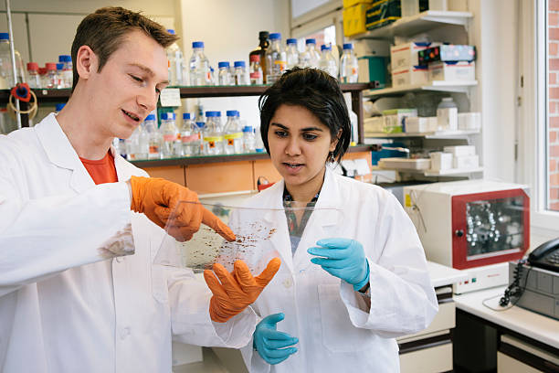 investigação médica: duas jovens investigadores analisar 2 d electrophoresis - separating laboratory - fotografias e filmes do acervo