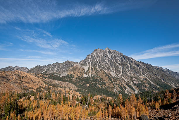 70+ Fotos, Bilder und lizenzfreie Bilder zu Nationalpark Sturt iStock