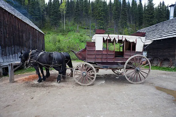 Horse drawn carriage in the historical town of Barkerville,BC.