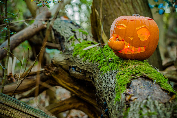 istock Pumpkin in the woods 522241759