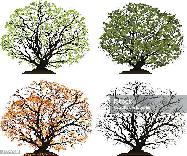 Vector Tree For Each Season Spring Summer Autumn Winter Stock Illustration - Download Image Now