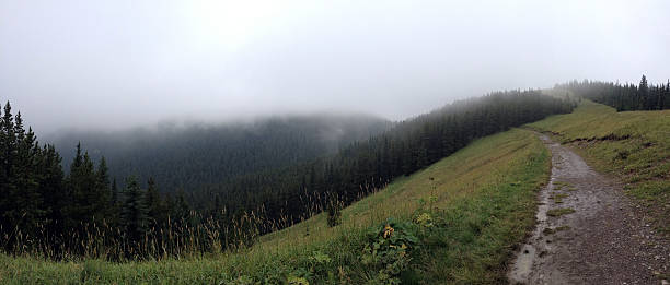 istock to the top of Moose Mountain 522247199
