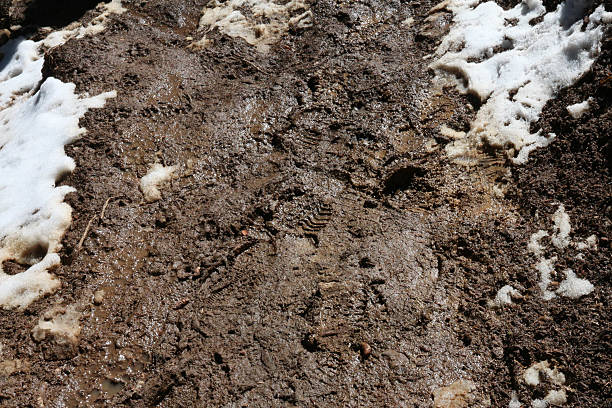 istock Muddy trail with footprints and snow 522247215