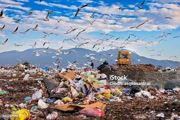 Landfill Garbage Waste Dumped In The Rubbish Dump Site Stock Photo - Download Image Now