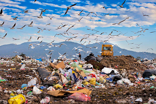 wysypisko śmieci odpadów na wysypisko śmieci po cenach dumpingowych w - landfill garbage dump garbage bird zdjęcia i obrazy z banku zdjęć