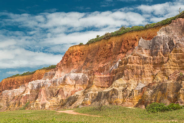 istock Gunga Beach in Maceio - bluff - falesia 522257489