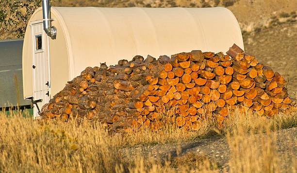 Approvisionnement en bois d'hiver - Photo