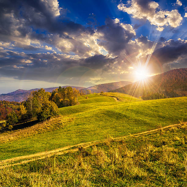 istock trees on autumn meadow in mountains at sunset 522259047