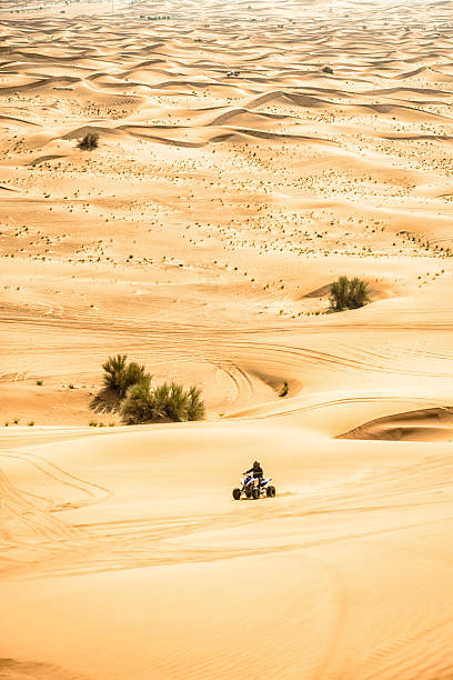 istock quadbike run on the sahara desert 522264065