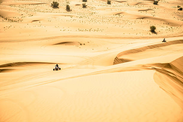 istock quadbike run on the sahara desert 522264187